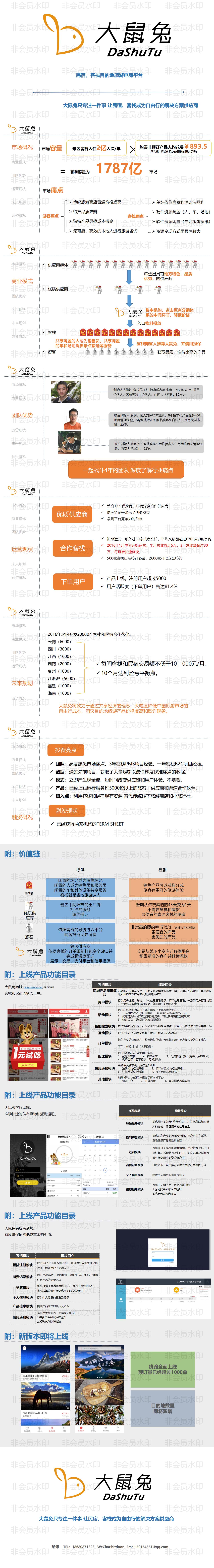 大鼠兔-民宿、客栈目的地旅游电商平台商业计划书