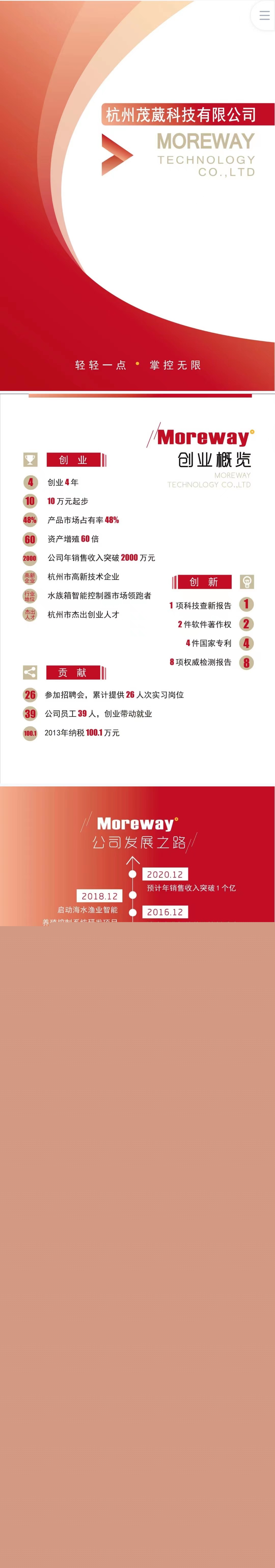 科技项目-运营报告