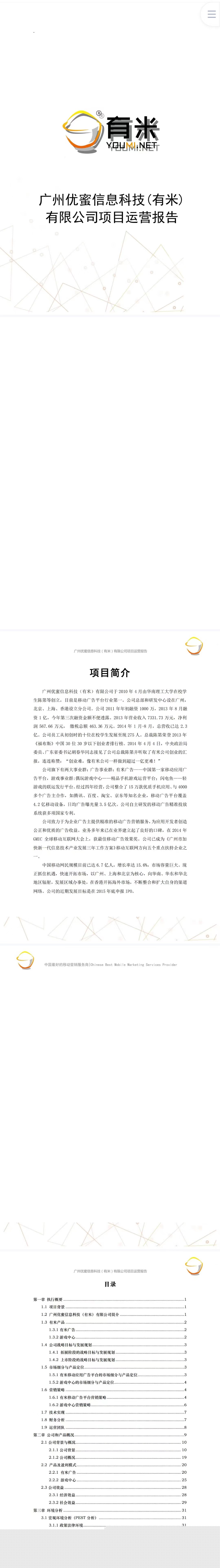 信息科技项目-运营报告