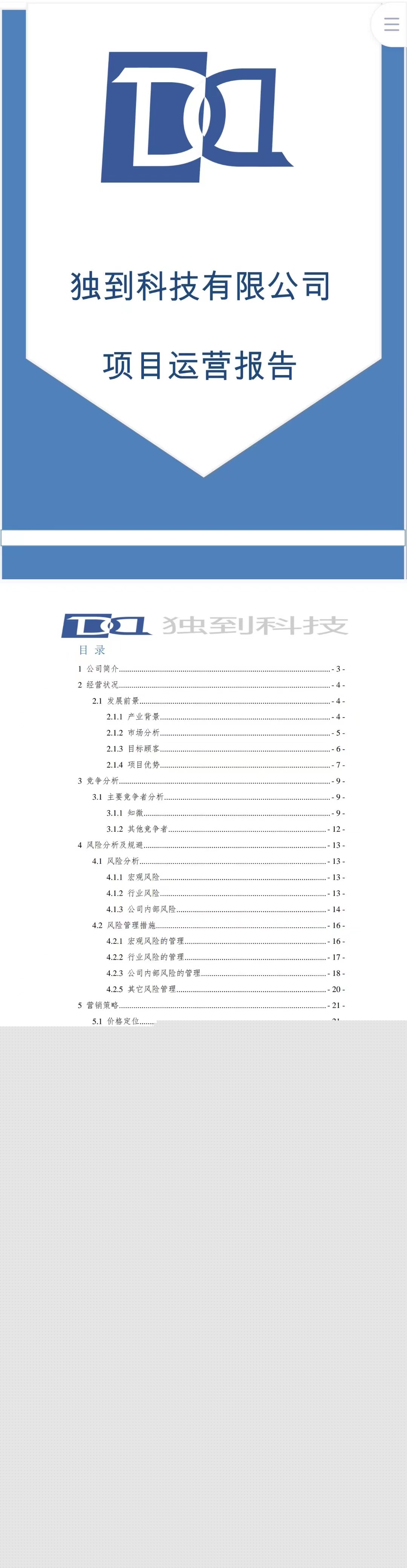 科技项目-运营报告