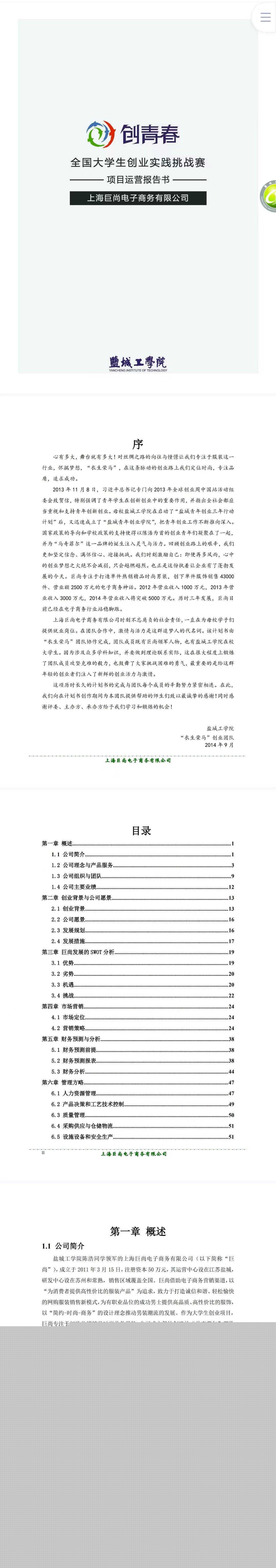 电子商务-项目运营报告