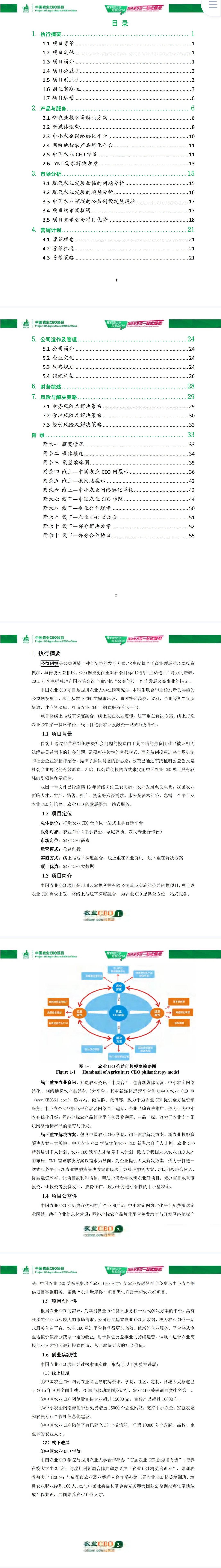 云农农业CEO-项目计划书