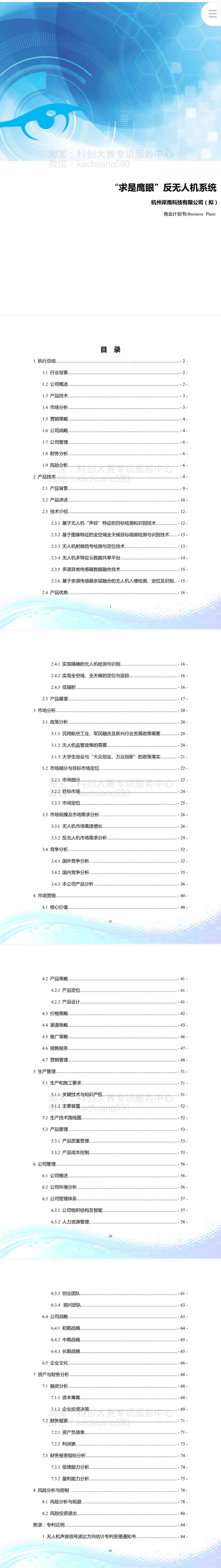 反无人机系统-项目计划书