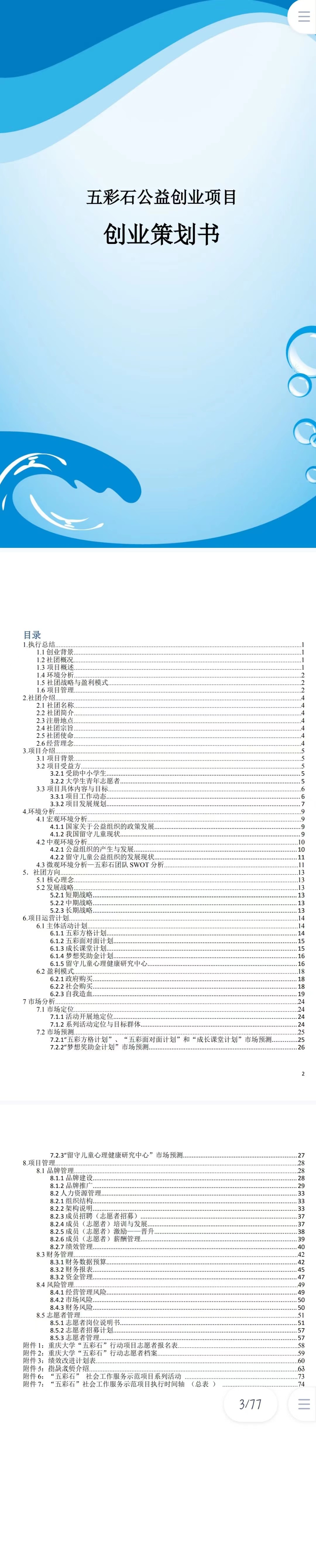 五彩石公益创业-项目计划书