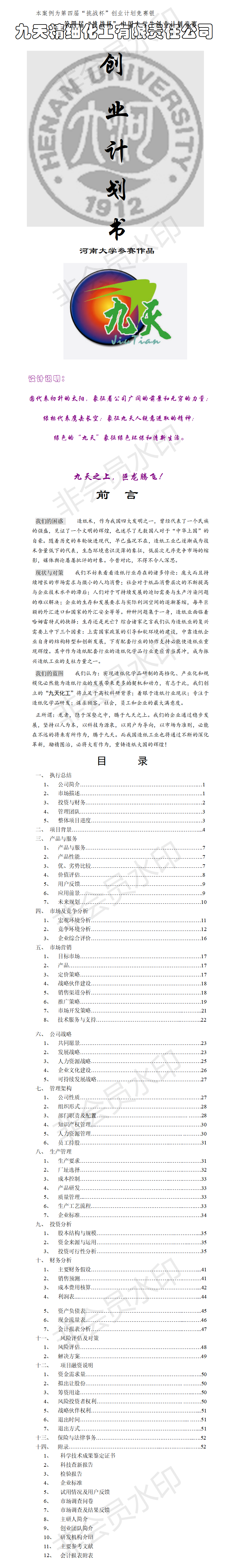 九天精细化工有限责任公司-项目计划书