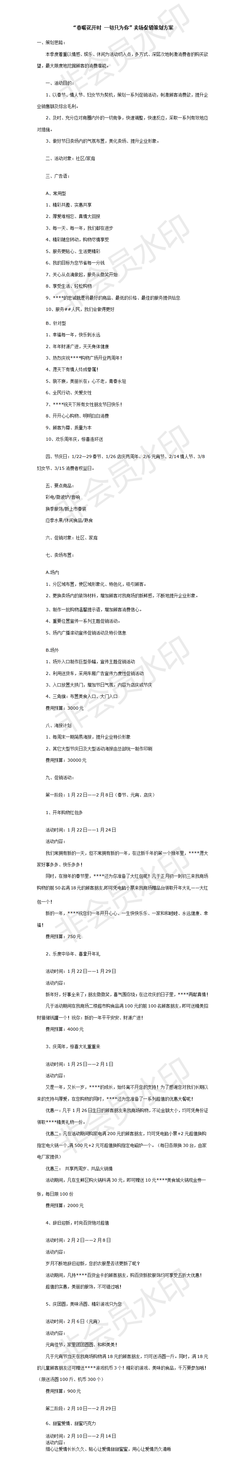 卖场促销方案-项目计划书