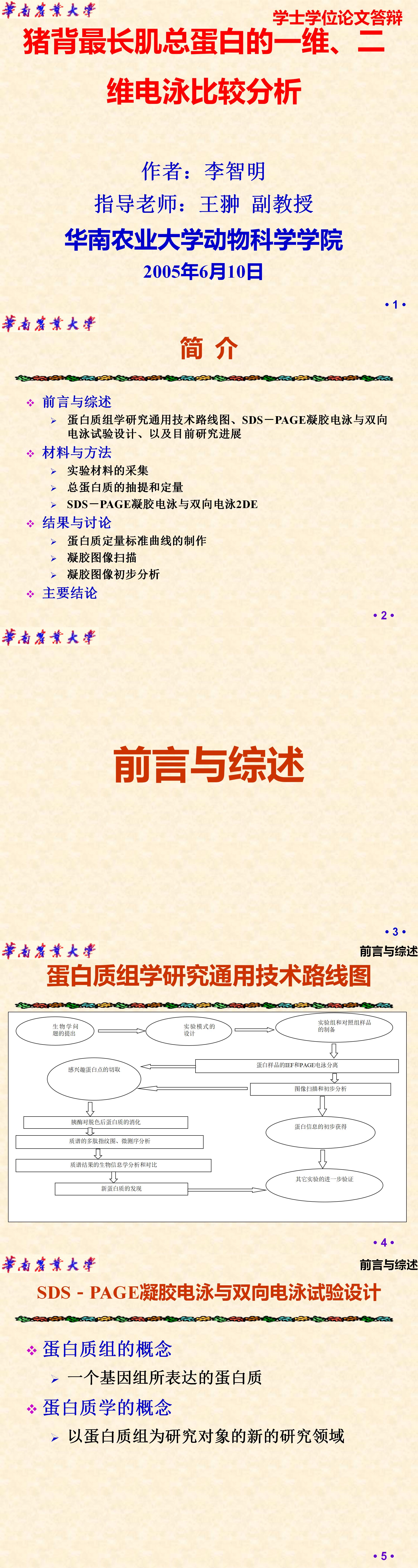 猪背最长肌总蛋白的一维、二维电泳比较分析-PPT
