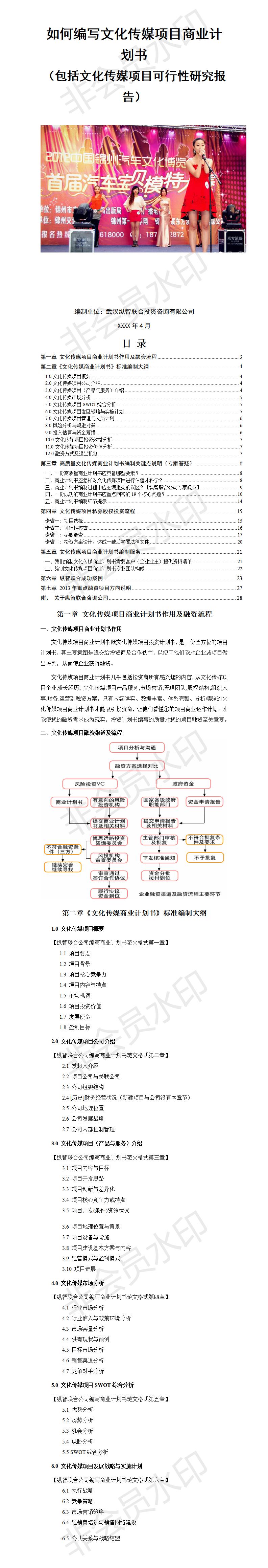 文化传媒类-项目商业计划书模板