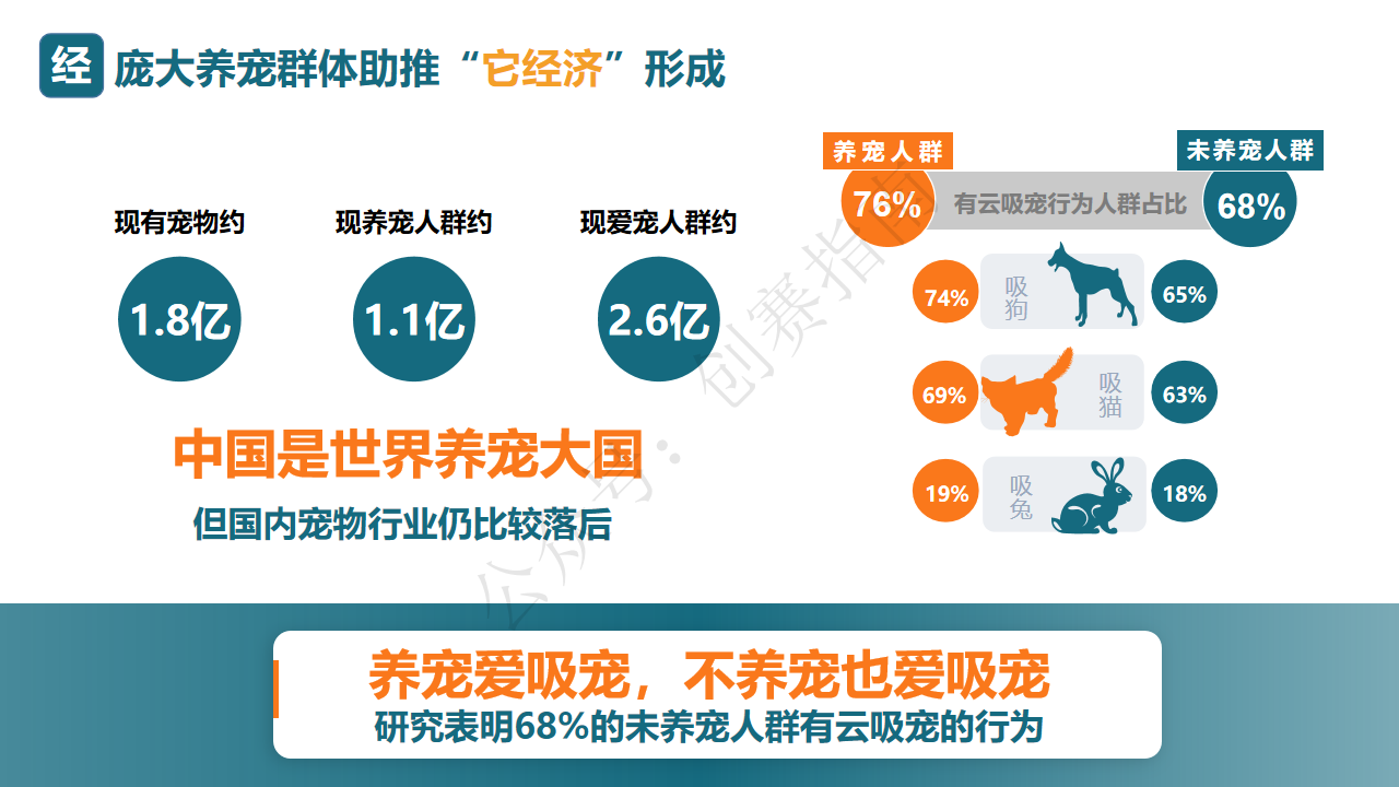 宠爱有加-项目计划书