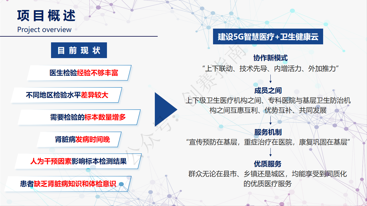 尿检优检-项目计划书