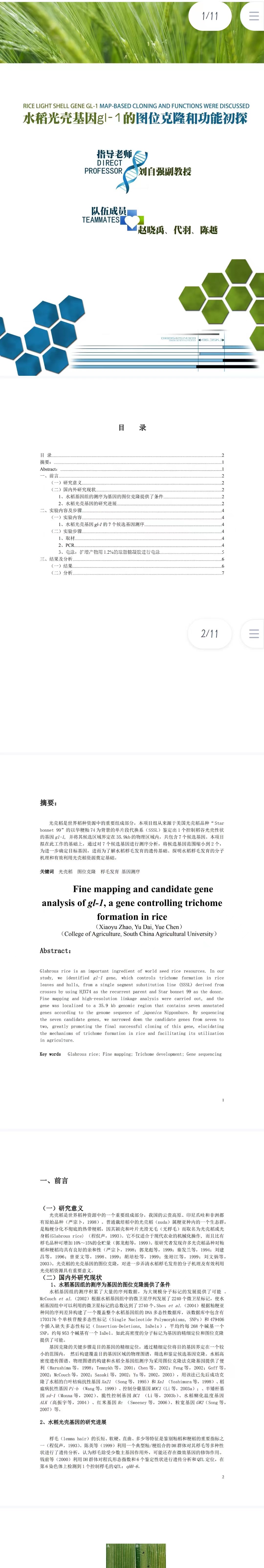 水稻光壳基因gl-1的图位克隆和功能初探