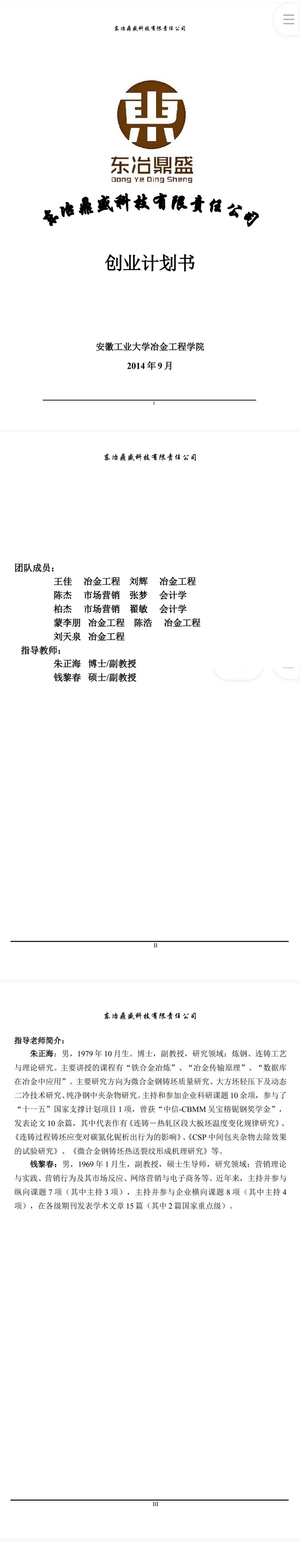 东冶鼎盛科技-项目计划书