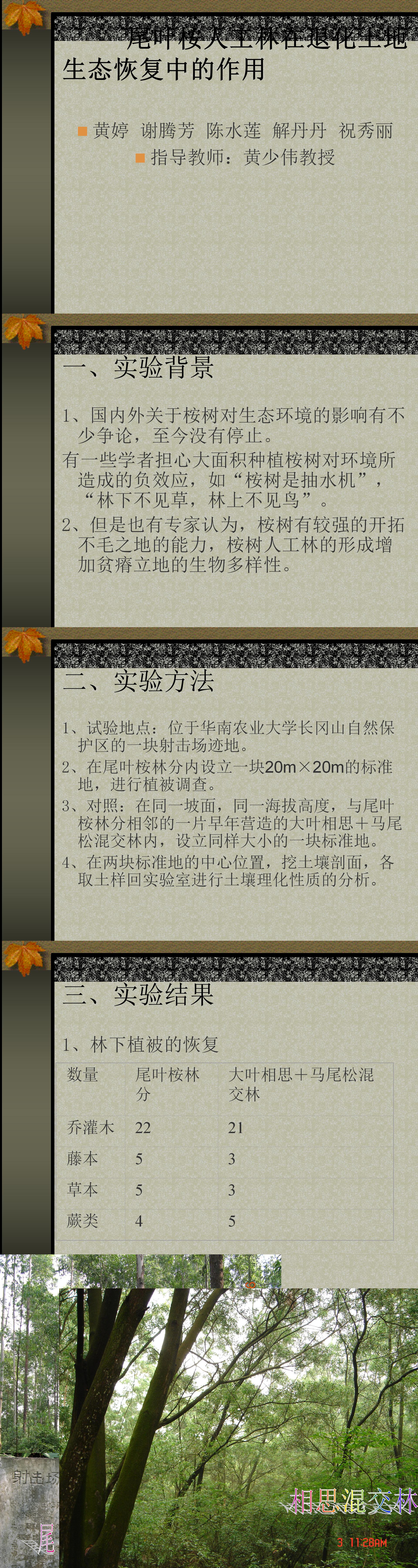 尾叶桉人工林在退化土地生态恢复中的作用-PPT
