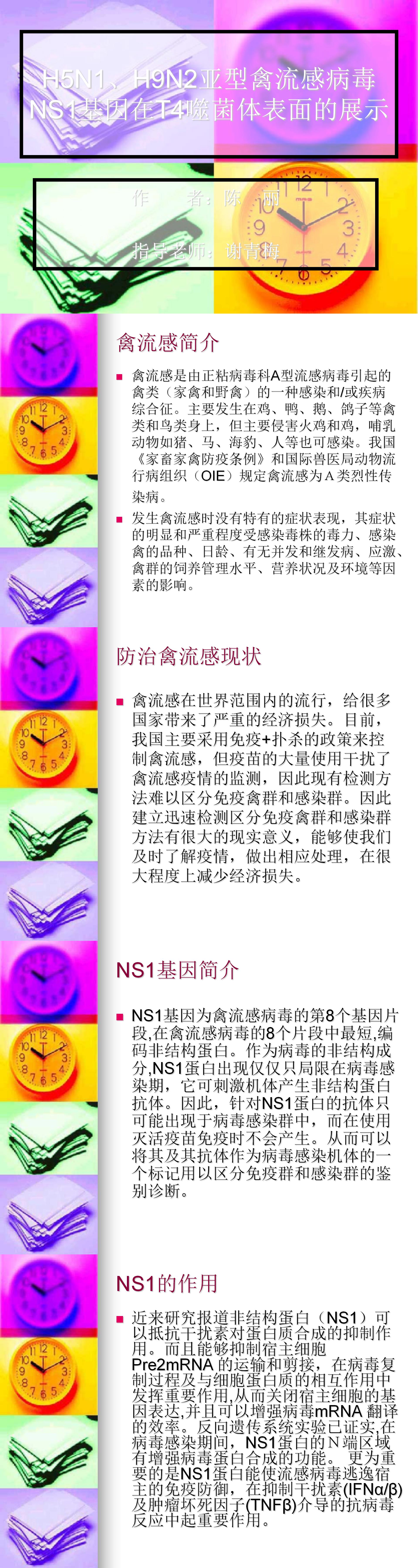 H5N1、H9N2亚型禽流感病毒NS1基因在T4噬菌体表面的展示-PPT