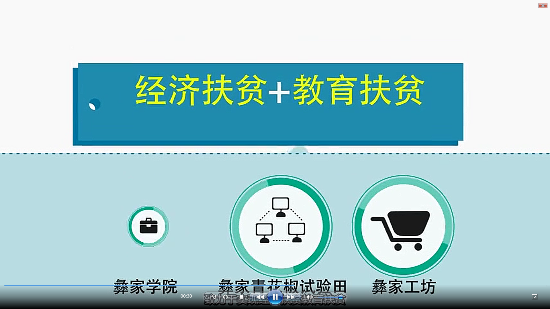 青花椒综合开发利用项目-成果视频