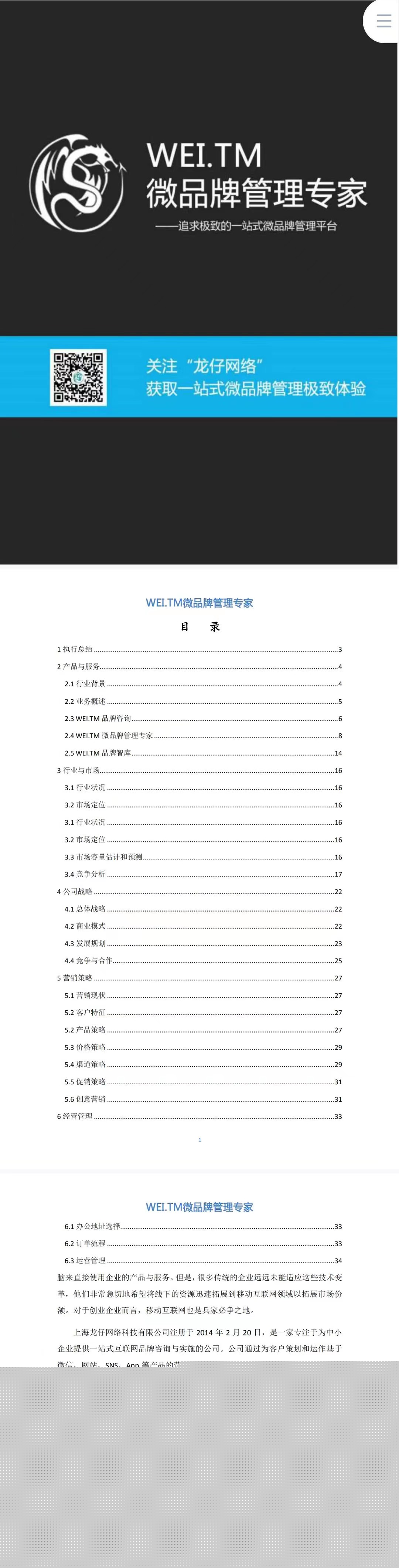 WEI.TM微品牌管理专家-项目计划书