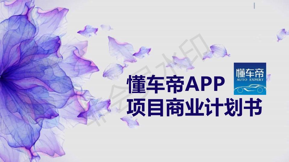《懂车帝》APP项目-打造汽车生活生态圈 一站式汽车撮合交易平台商业计划书