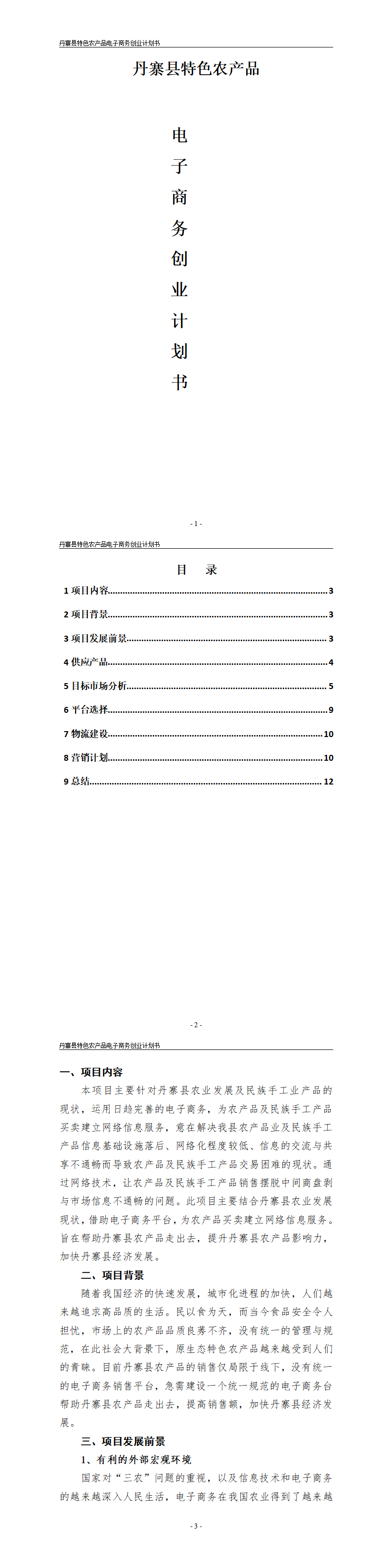 丹寨县特色农产品-电子商务创业计划书