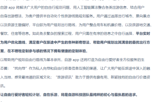 自游科技——基于人工智能的半自动旅游路线定制-项目计划书