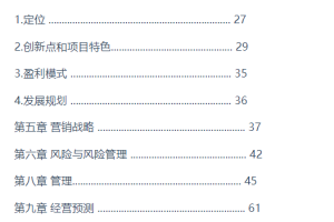 基于 STEM 教育“创玩世界”的研究与构建-商业计划书