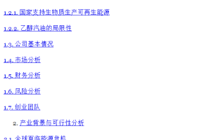 天泽环保-项目计划书