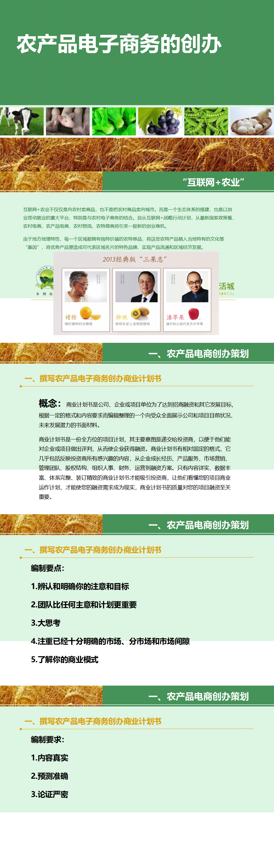 农产品电子商务的创办-PPT