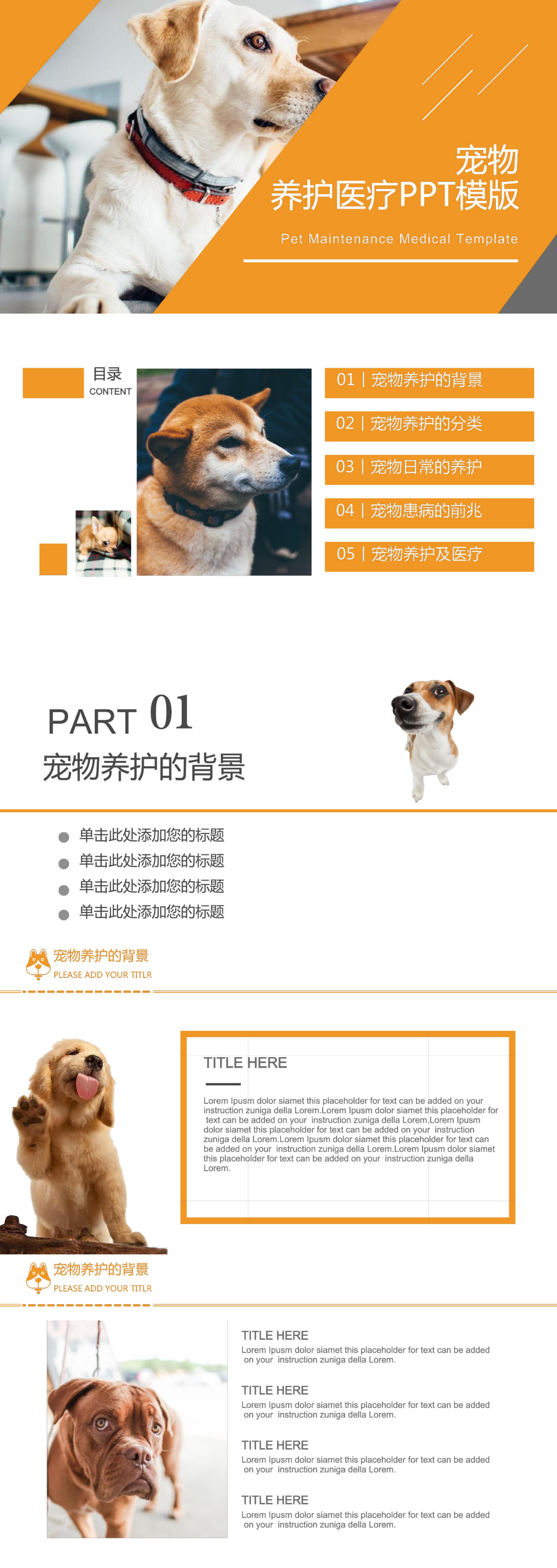 宠物养护模板-PPT