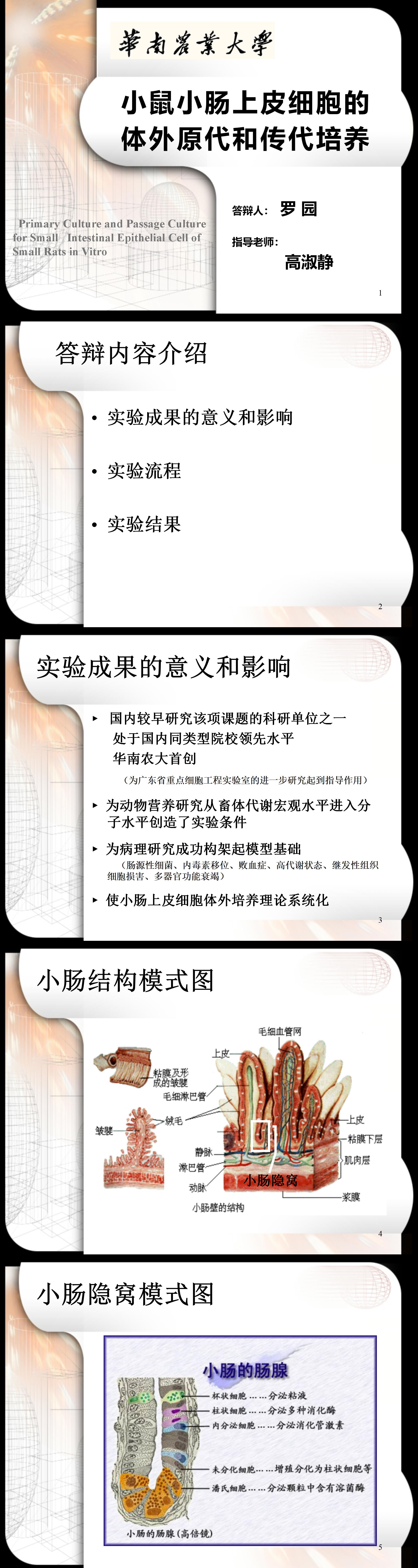 小鼠小肠上皮细胞的体外原代和传代培养-PPT