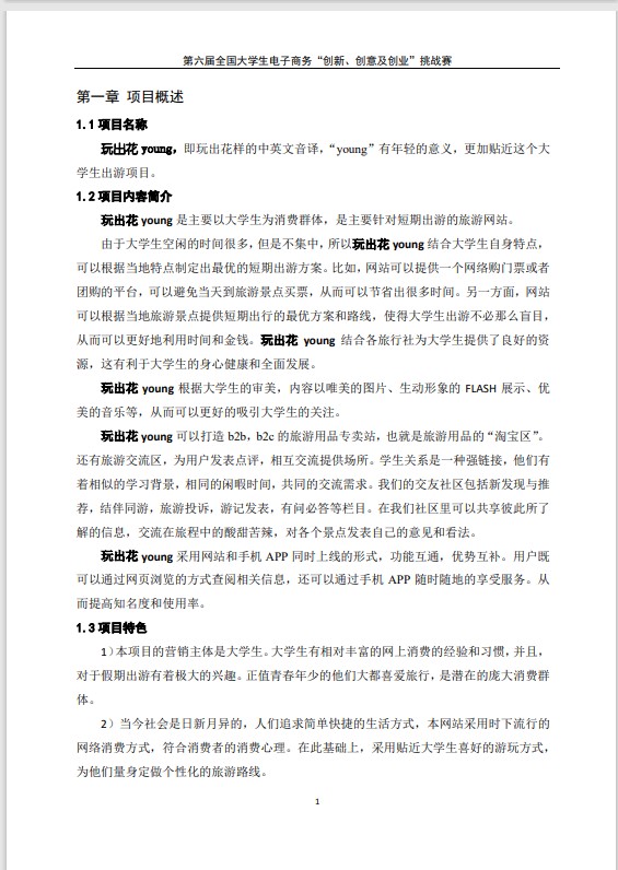 玩出花 young(旅游网站)-项目计划书