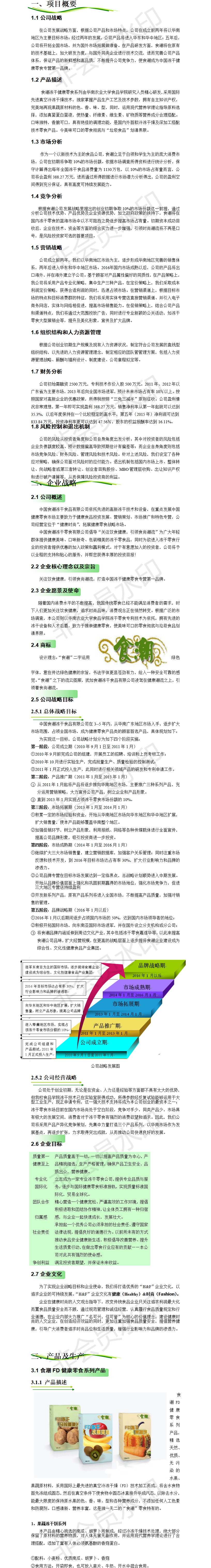 食潮—FD健康零食商业-项目计划书