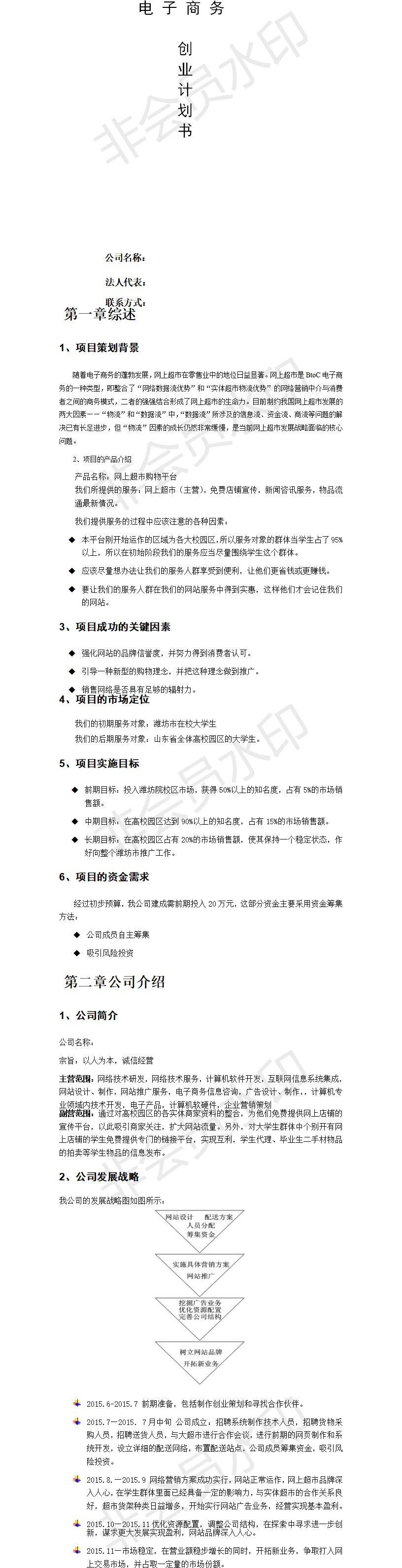 电 子 商 务-项目计划书