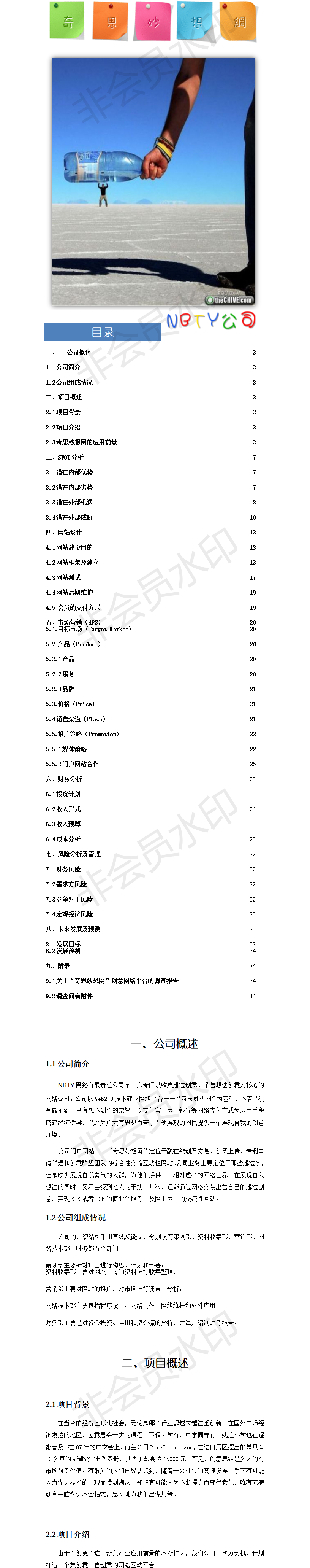 电子商务网络-项目计划书