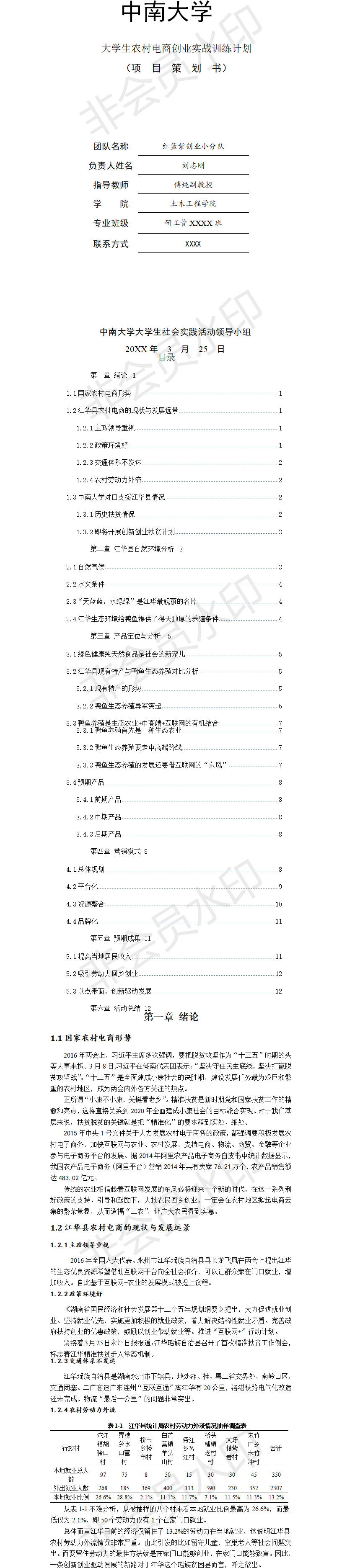 红蓝紫创新创业-项目计划书