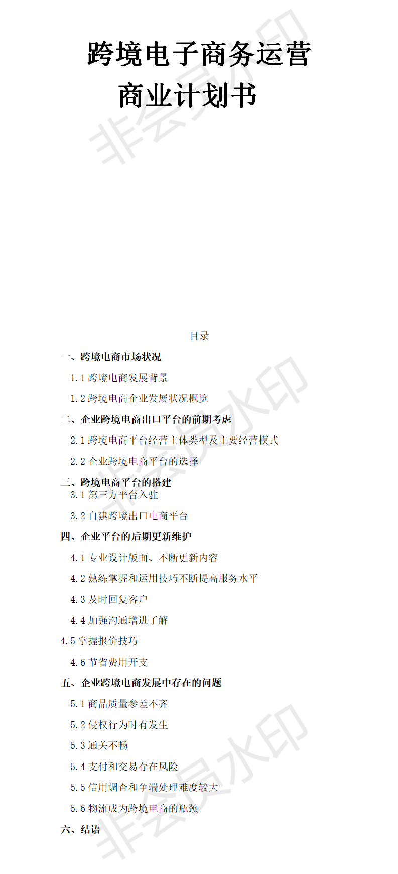 跨境电子商务运营商业-项目计划书