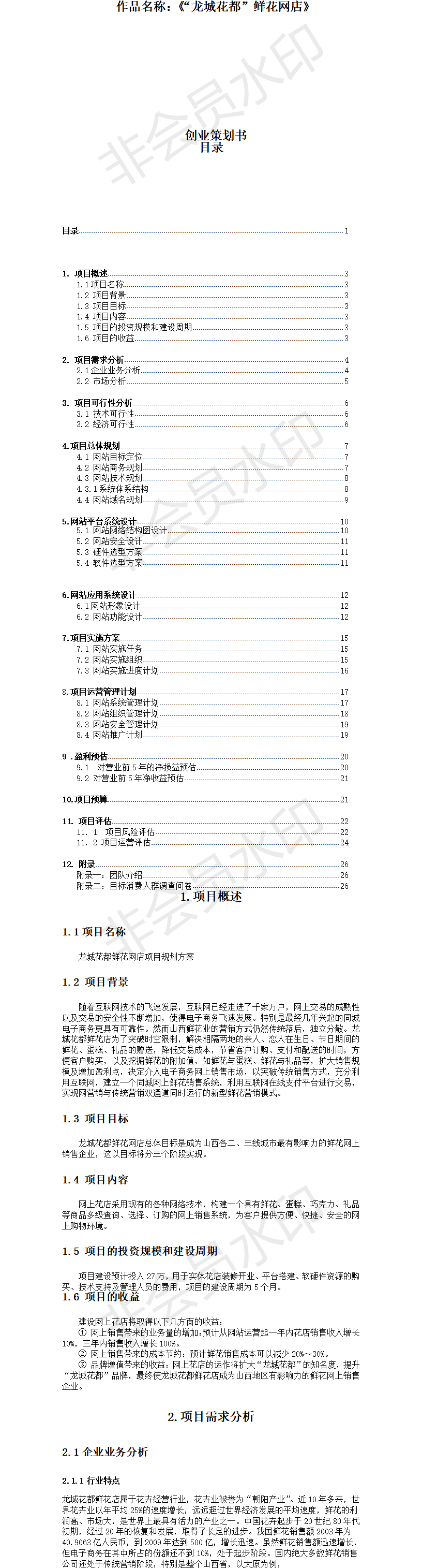 龙城花都-电子商务-项目计划书