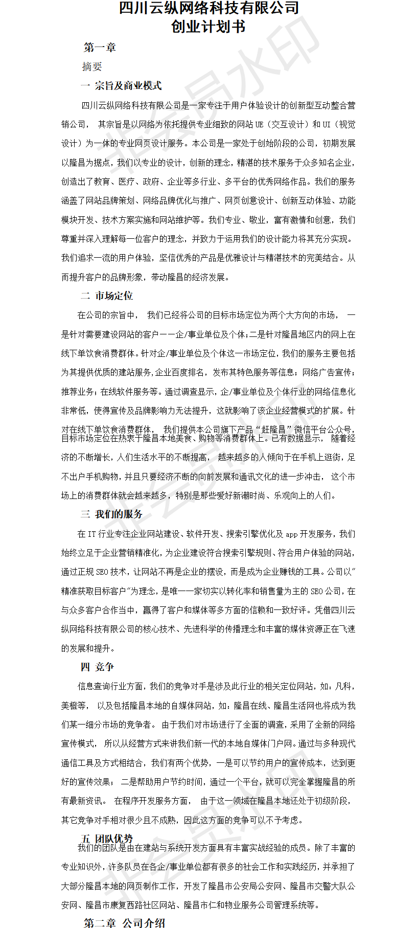 四川云纵网络公司企业-项目计划书