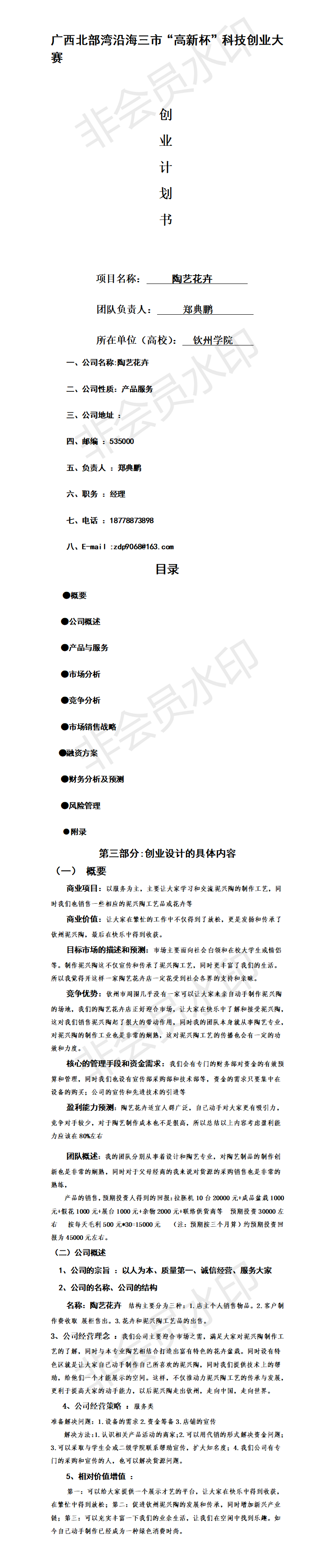 陶艺花卉-项目计划书