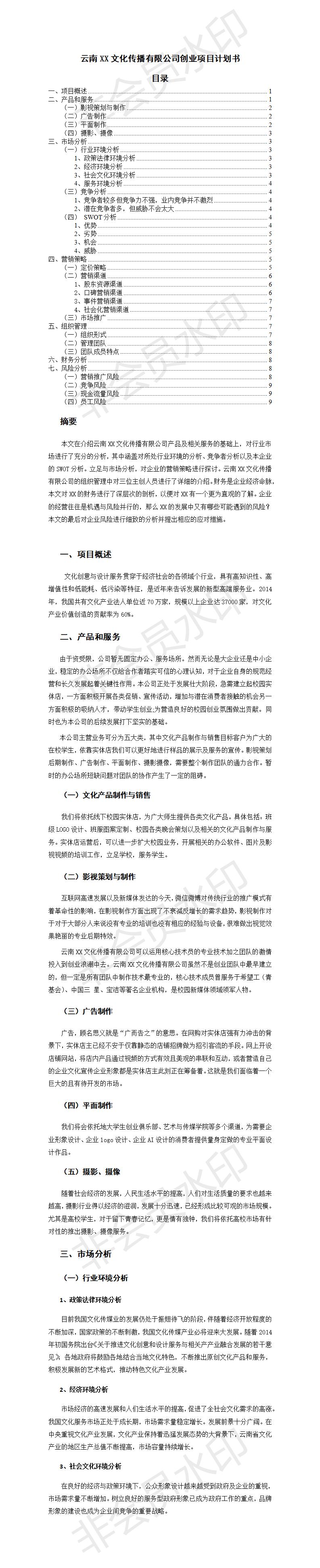 云南XX文化传播有限公司创业-项目计划书