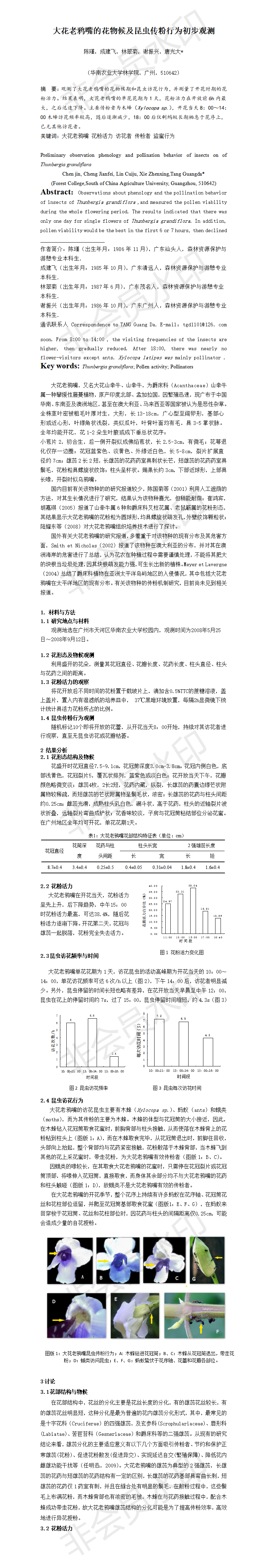 大花老鸦嘴的花物候及昆虫传粉行为初步观测-项目成果