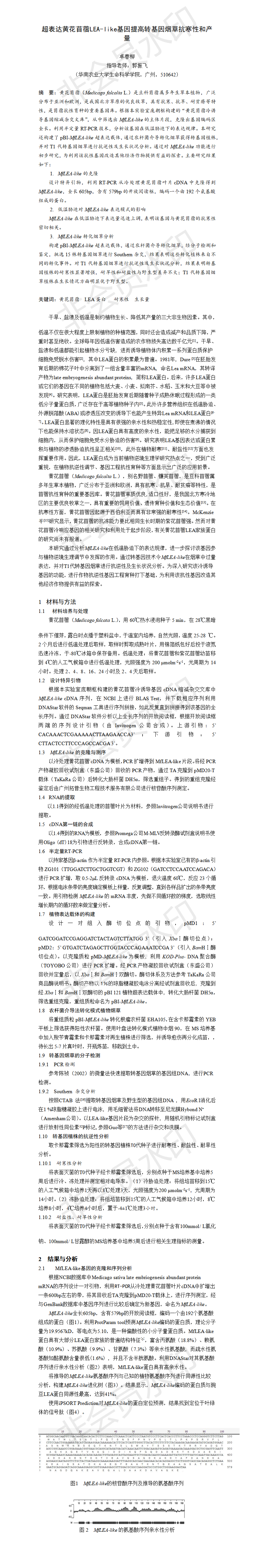 超表达黄花苜蓿LEA-like基因提高转基因烟草抗寒性和产量-项目成果