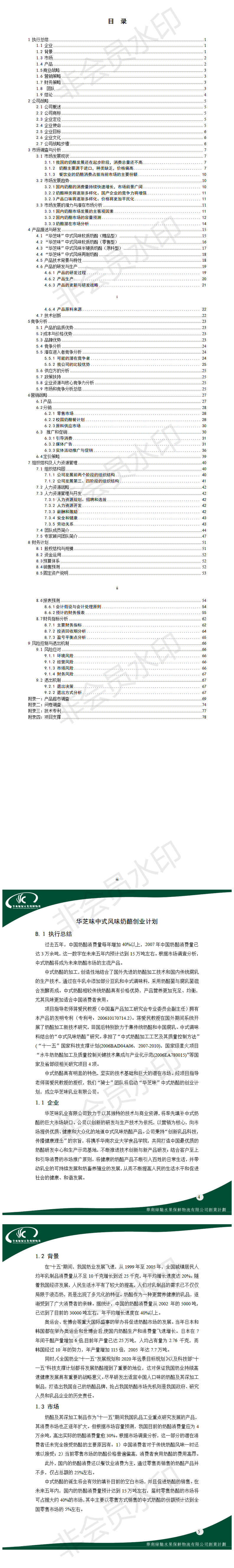 华芝味中式奶酪创业计划-项目计划书