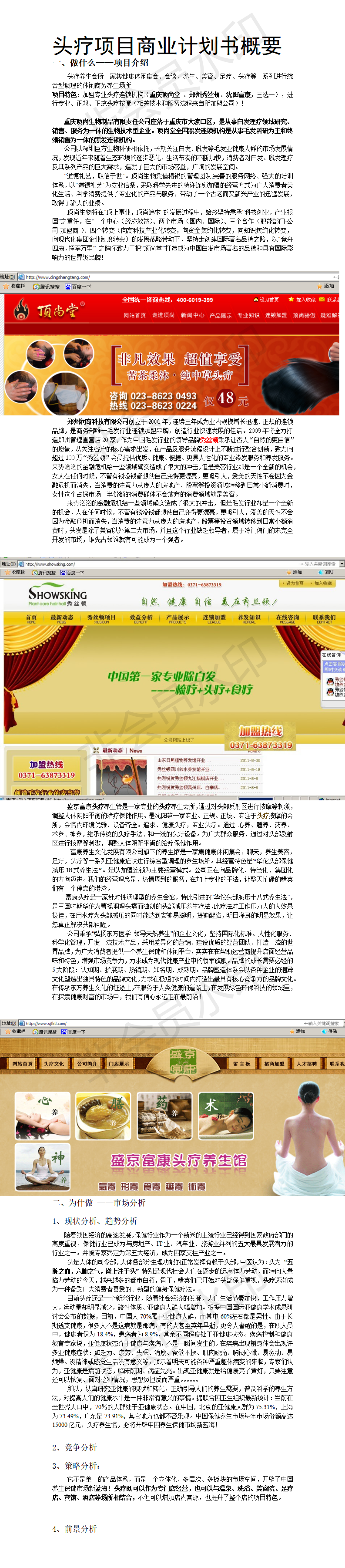 头疗-项目商业计划书概要