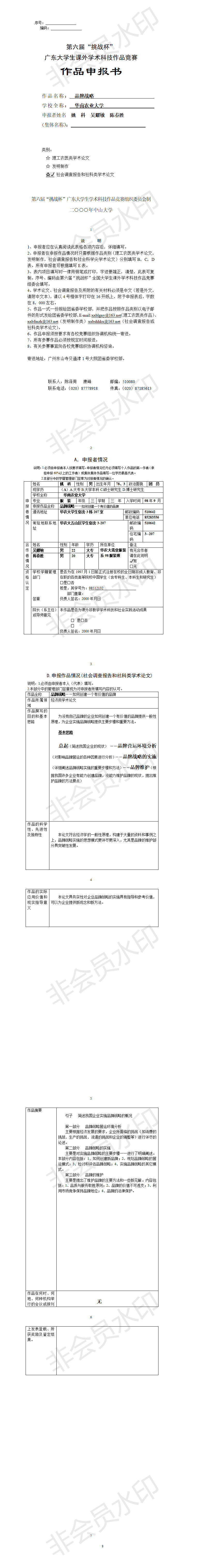 品牌战略-项目申报书