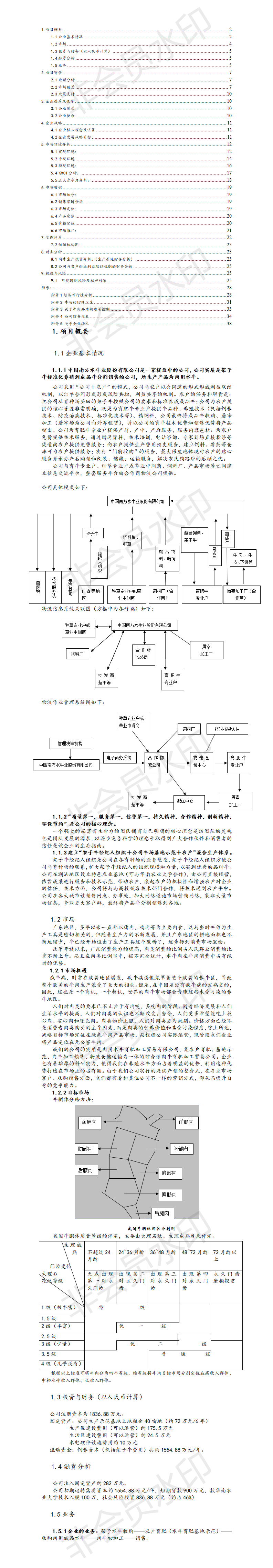 中国南方水牛股份有限公司-项目计划书