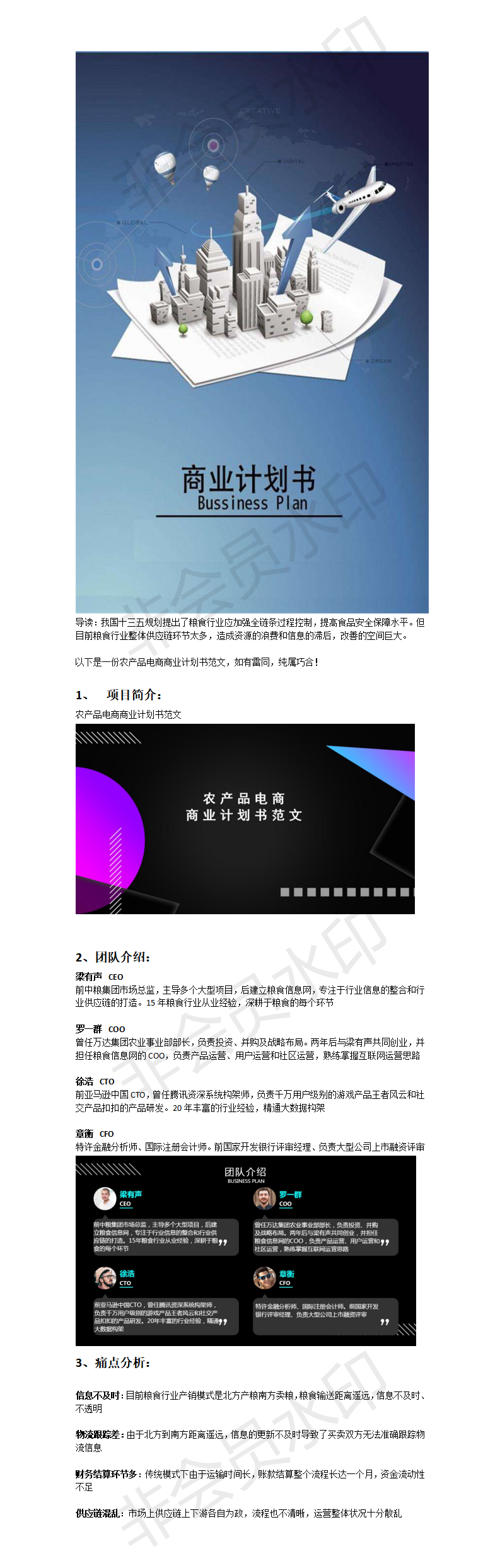 农产品电商商业-项目计划书