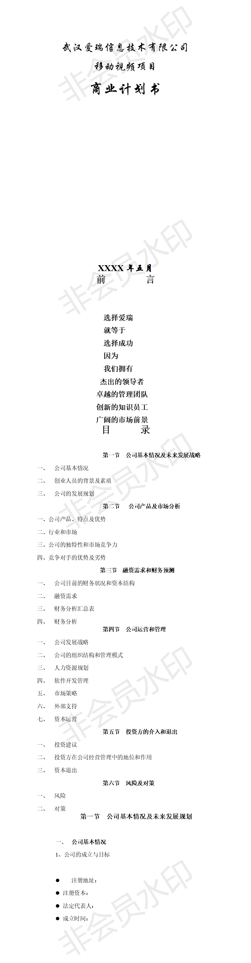 视频内容提供商业-项目计划书