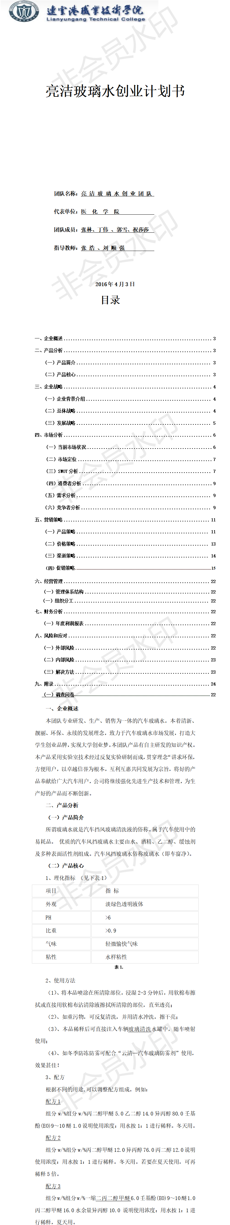 亮洁玻璃水策划案定稿-项目计划书