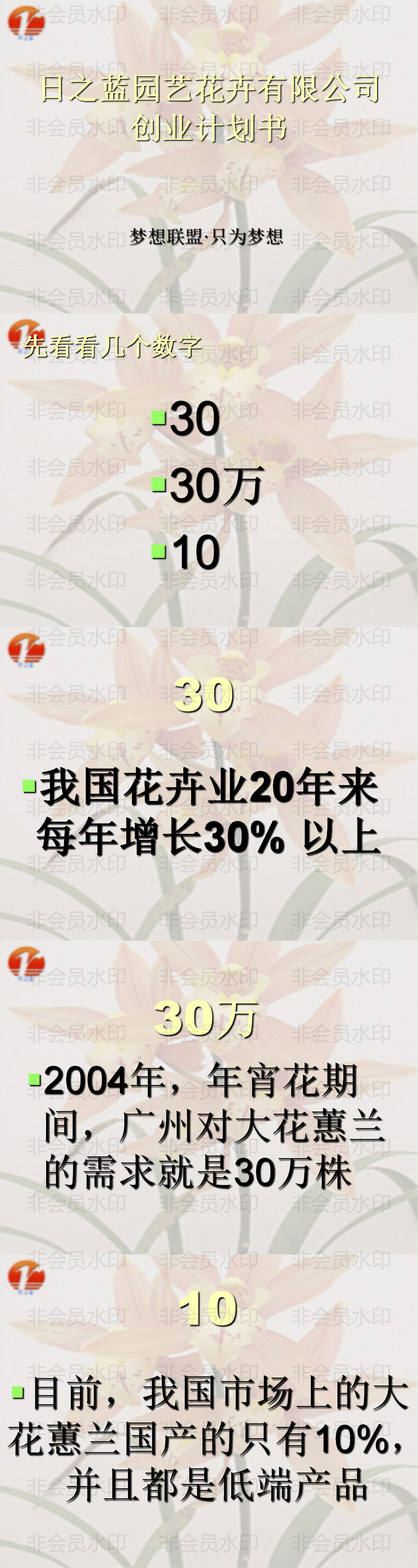 日之蓝园艺花卉有限公司创业计划-PPT