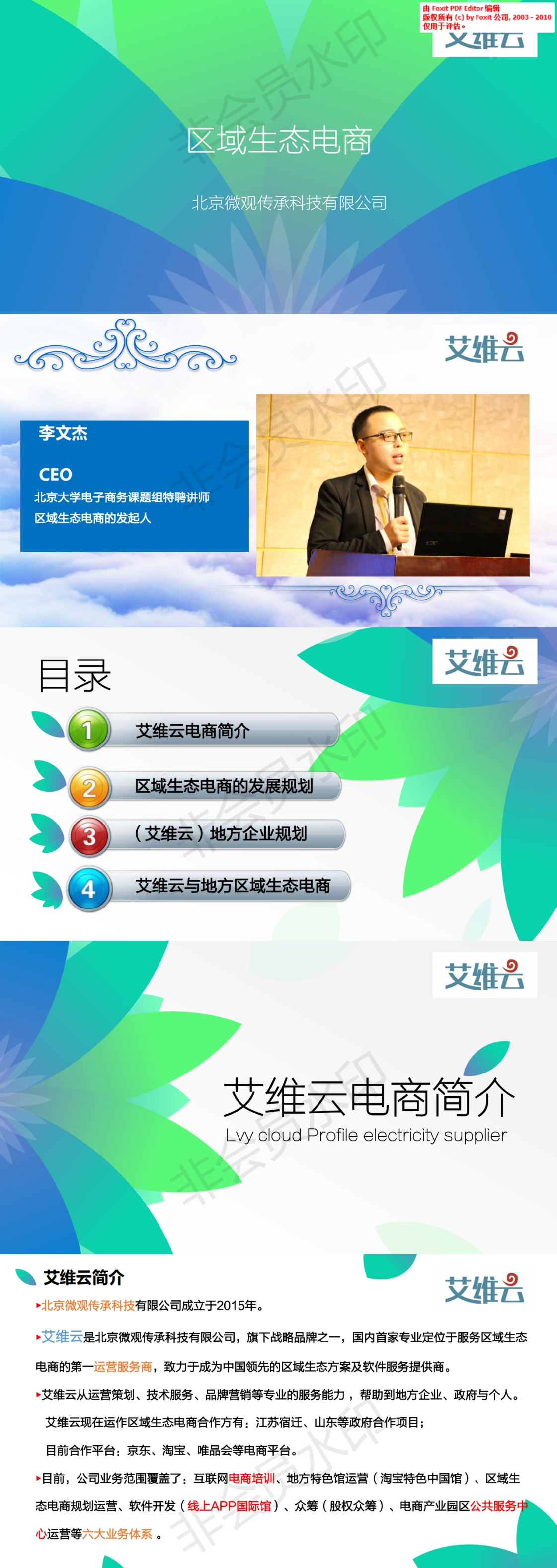 艾维云商业-项目计划书