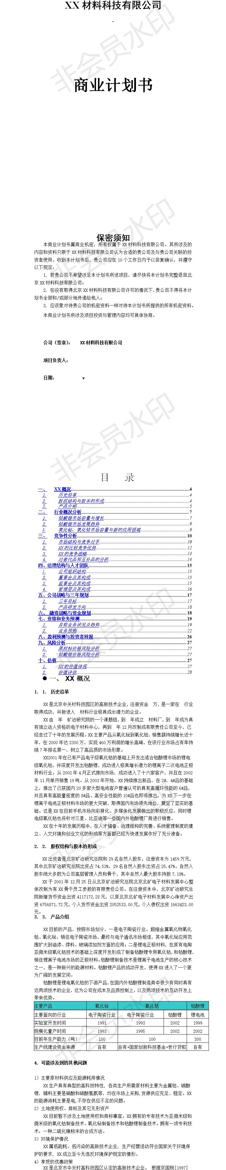 材料科技有限公司商业-项目计划书